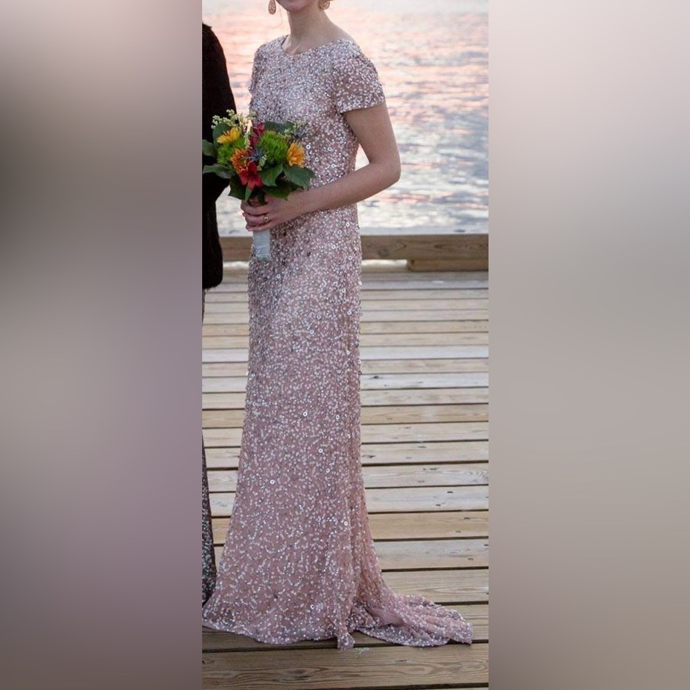 Adrianna Papell Blush Sequin Gown